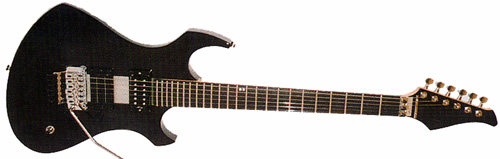 SFG Guitare